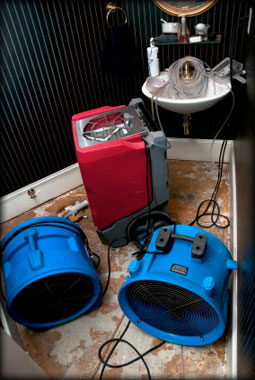 water damage repair denver